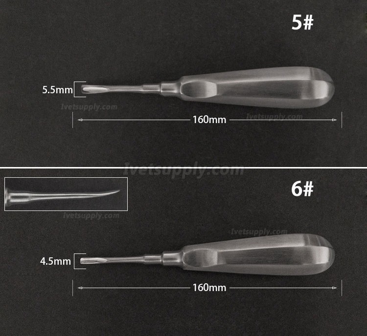 Veterinary Elevators Cat Dog Teeth Extraction Stainless Steel Minimally Invasive Elevators